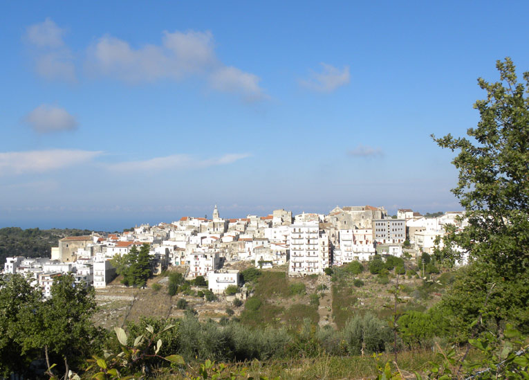 destinazionegargano.it