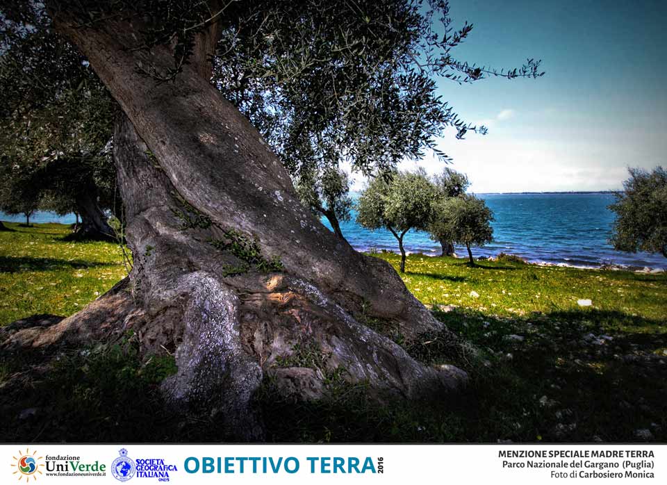 destinazionegargano.it destinazionegargano.it