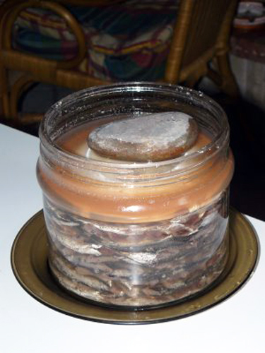Acciughe sotto Sale